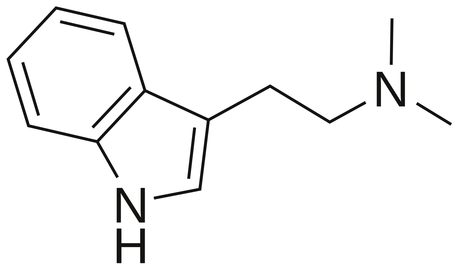 DMT molecule