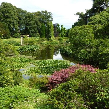 CHOLMONDELEY CASTLE GARDENS