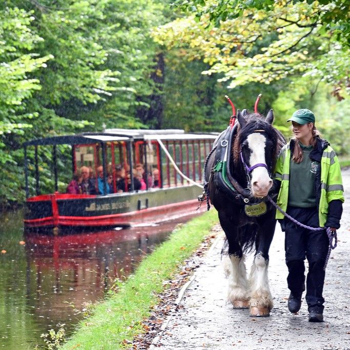 LLANGOLLEN WHARF HORSE DRAWN BOAT CRUISE 