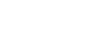 White SunSouth logo on a transparent background