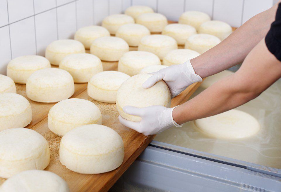 forme di formaggi