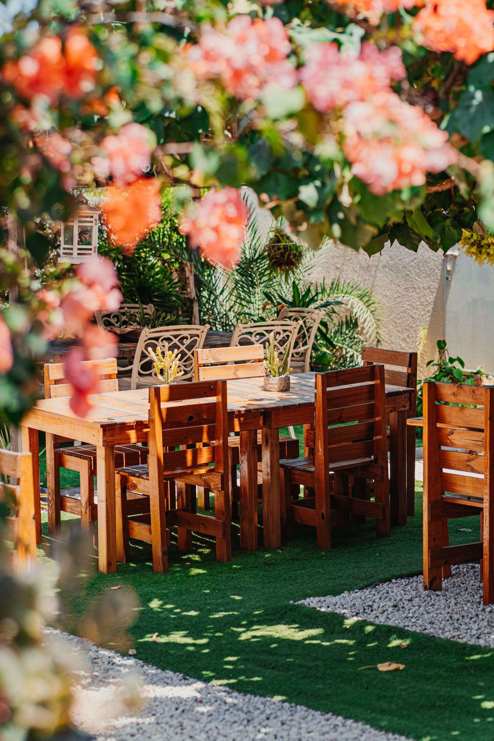 Jardin 