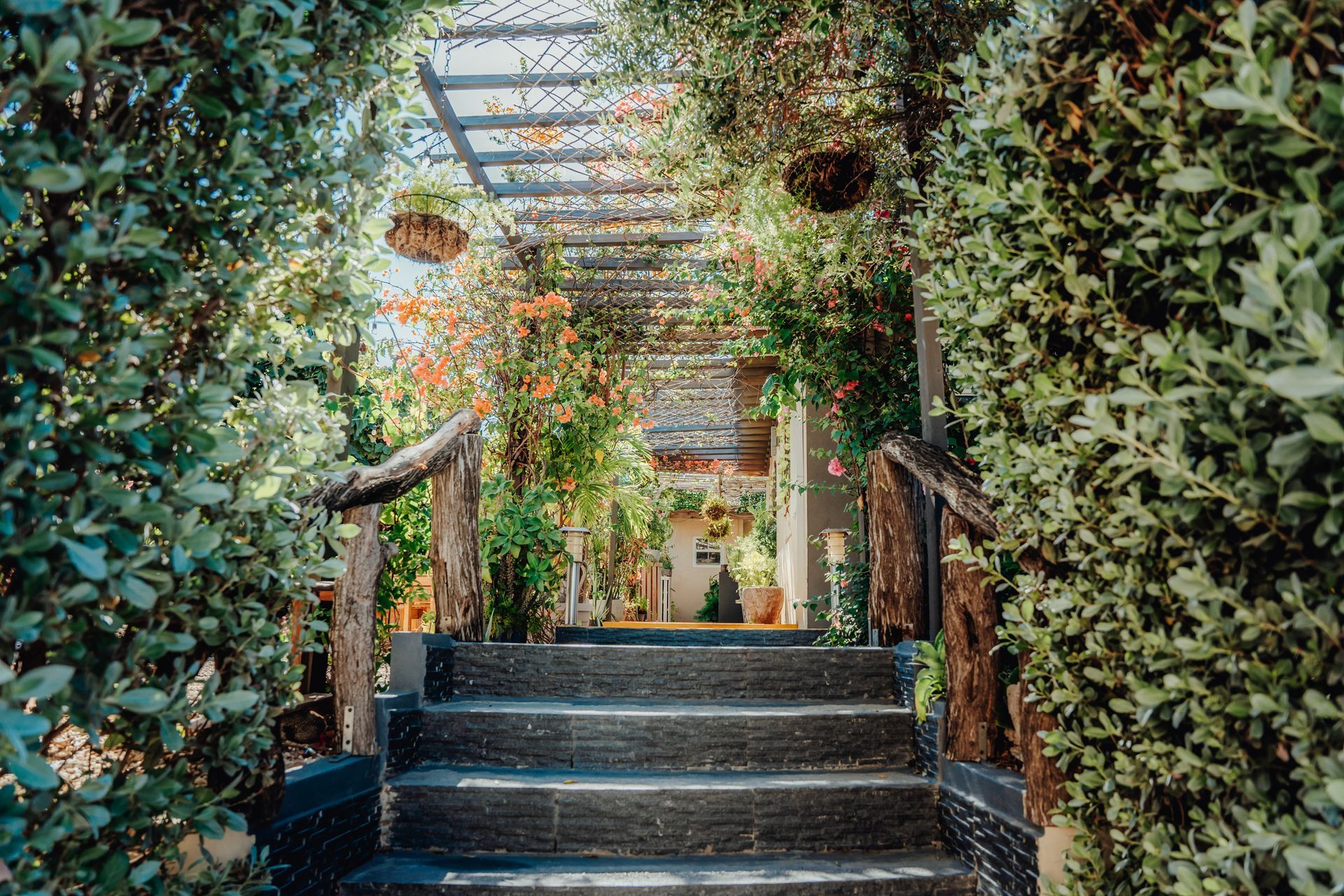 Stone steps under a leafy pergola with lush green vines and flowers leading to a garden entrance