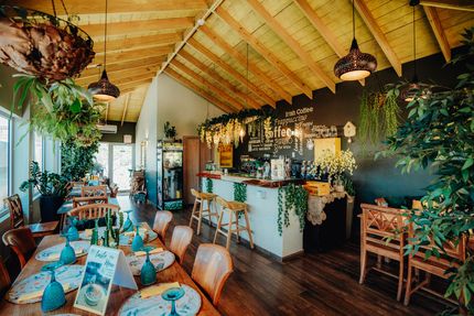 Cozy tropical café interior with teal tables, hanging plants, and warm wooden ceiling