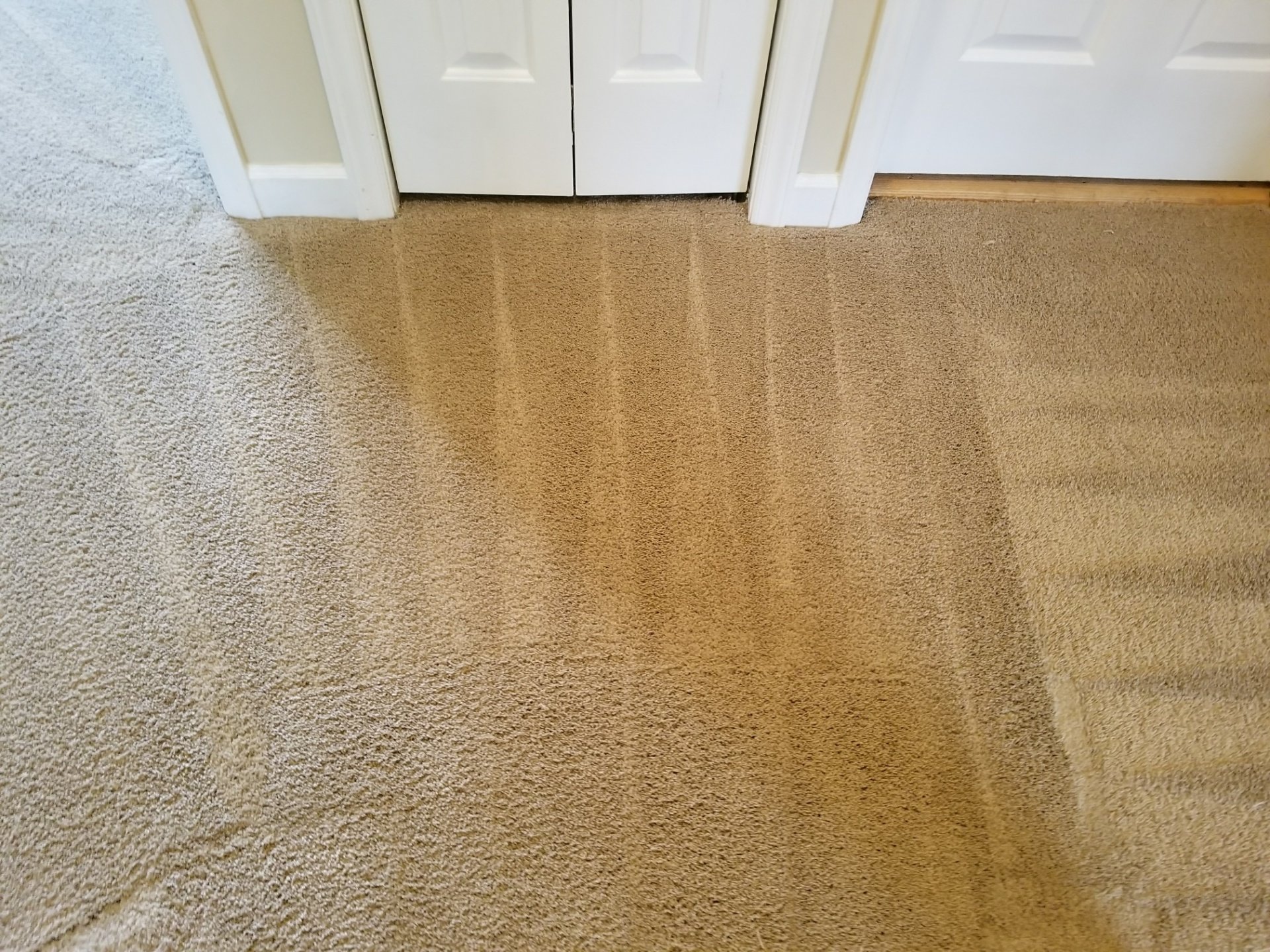 Carpet Cleaning Chapel Hill NC Spotless Clean & Carpet Care