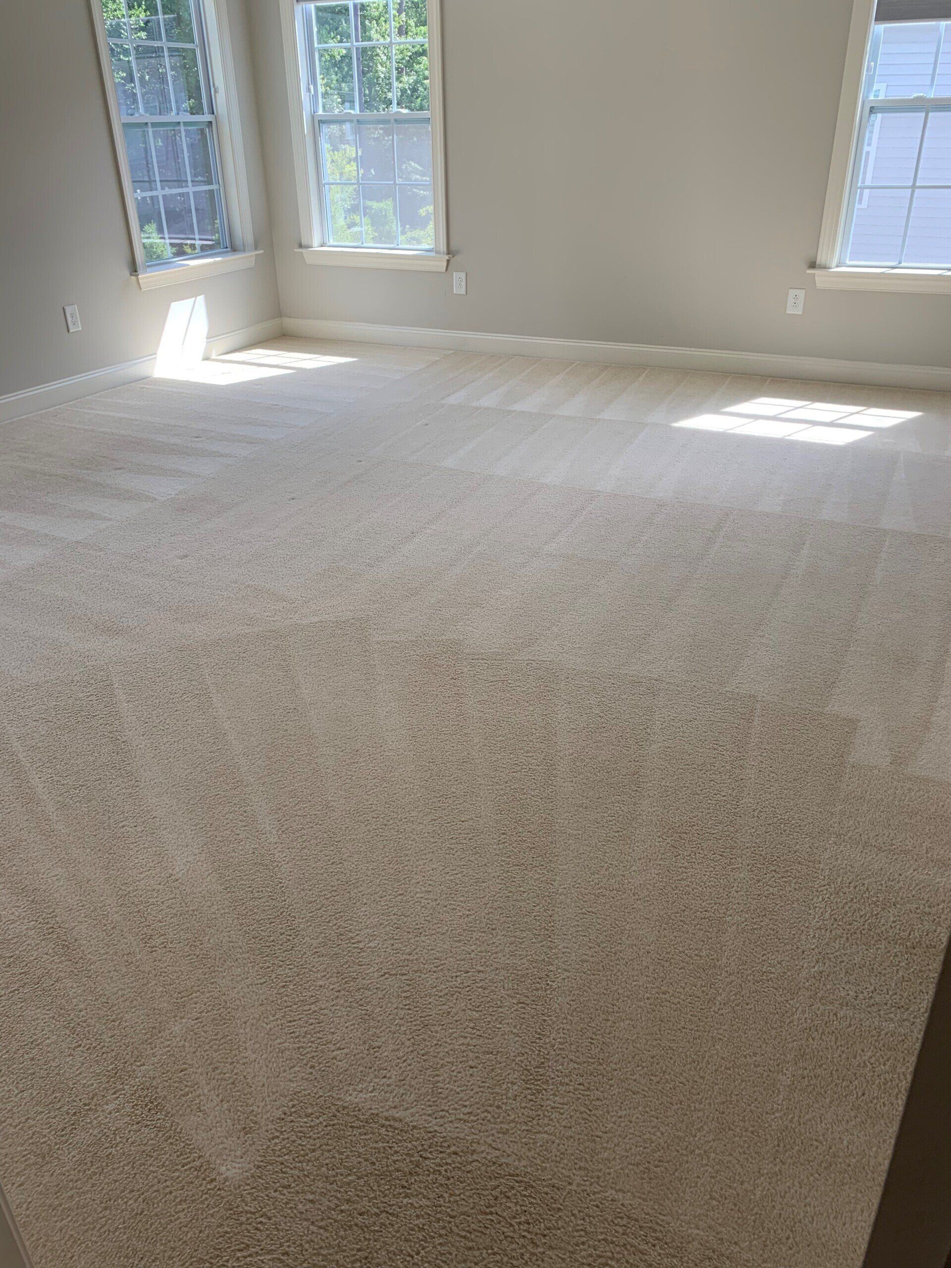 Lengthen Carpet Life with Professional Cleaning from Spotless Clean and Carpet Care