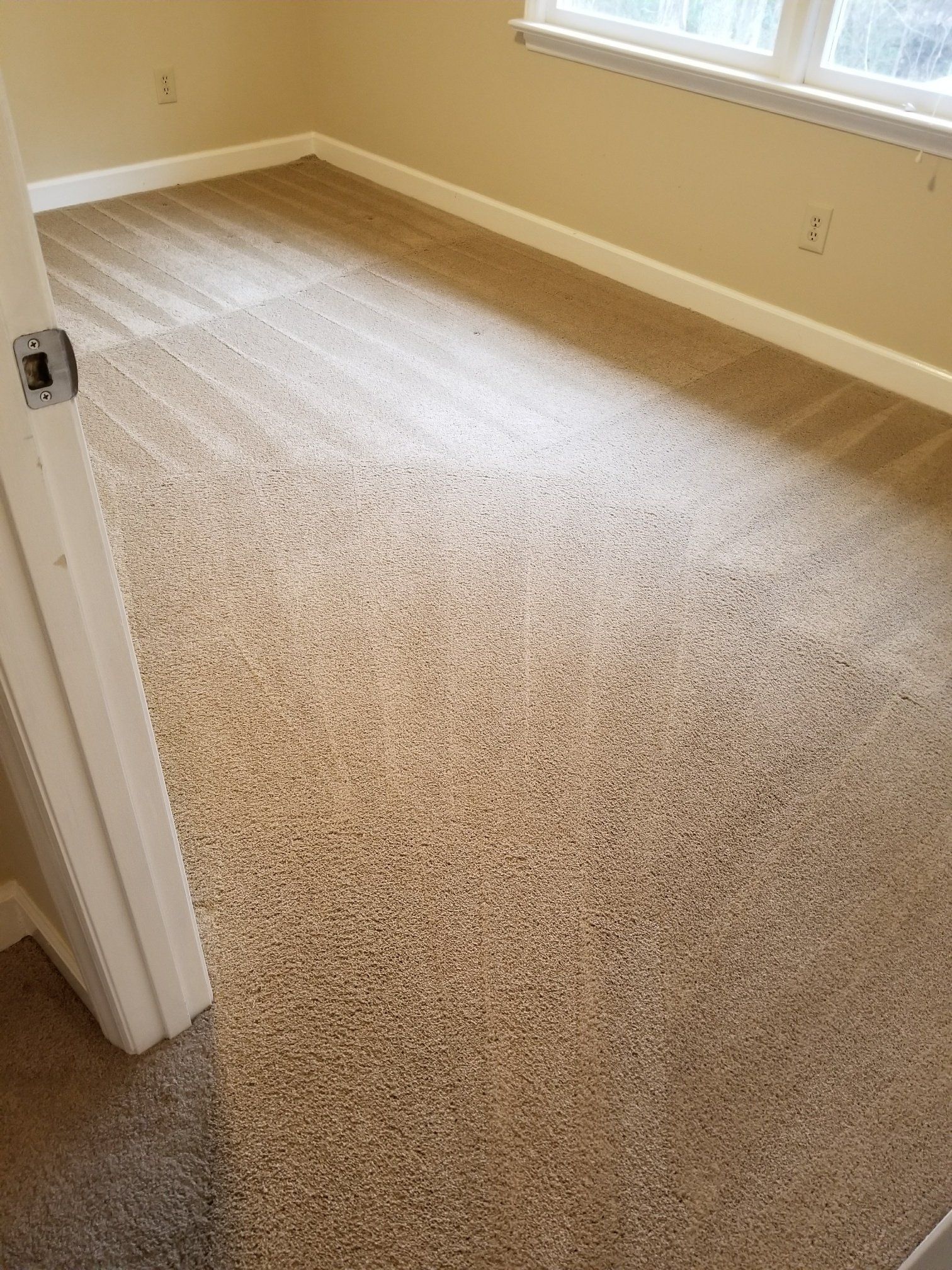 Carpet cleaning service in Durham, NC, empty beige carpeted room with white trim and open door