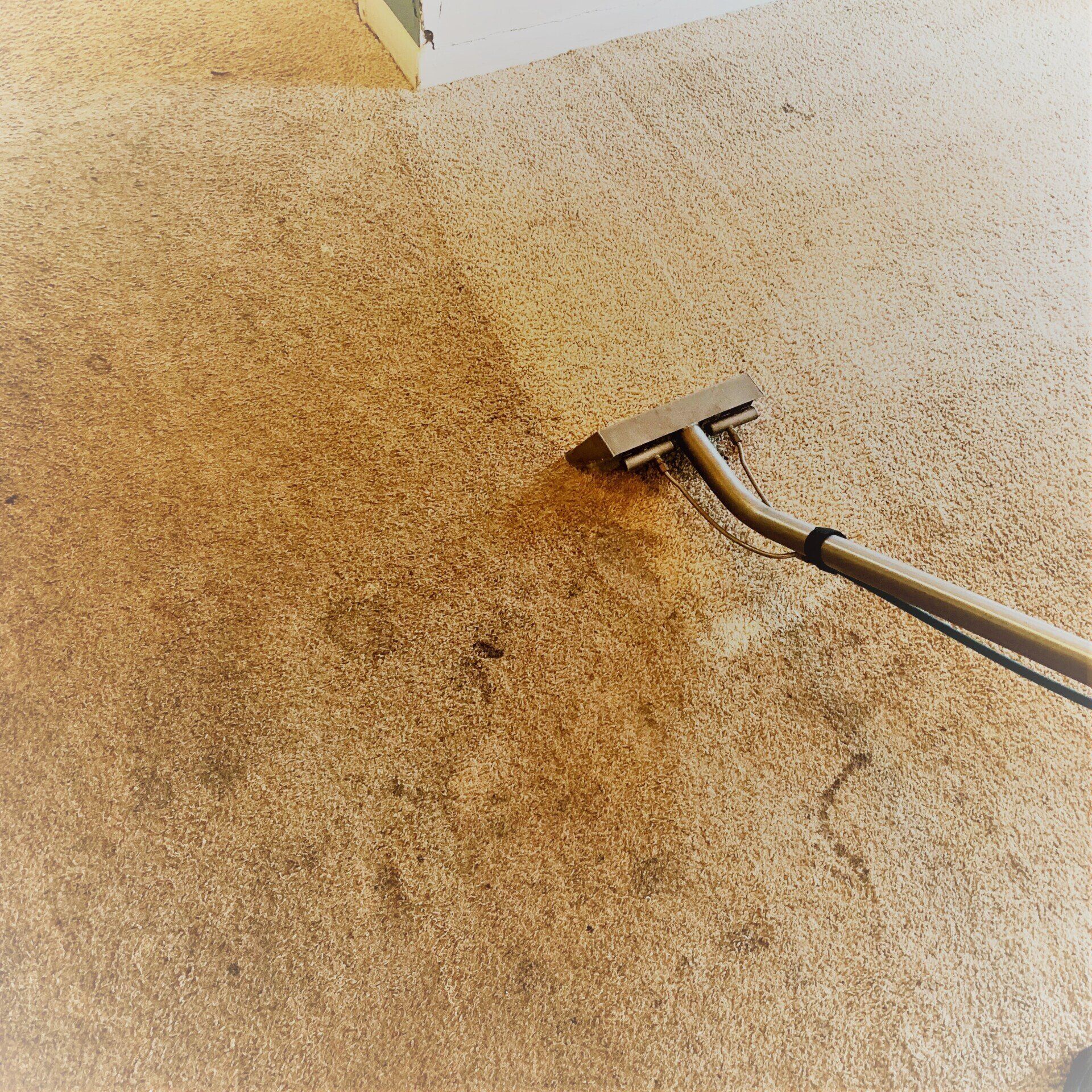 Professional carpet cleaning machine removing dirt and stains from carpet