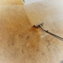 Professional carpet cleaning machine removing dirt and stains from carpet