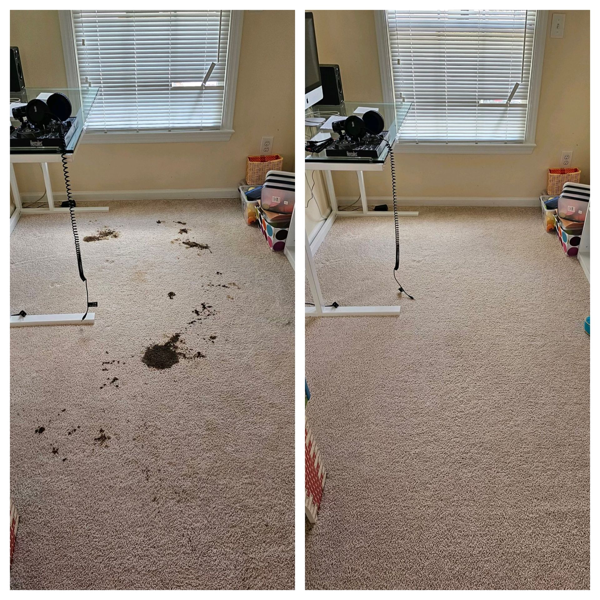 Carpet cleaning in Durham, NC, before-and-after carpet beside window showing debris removed on right.