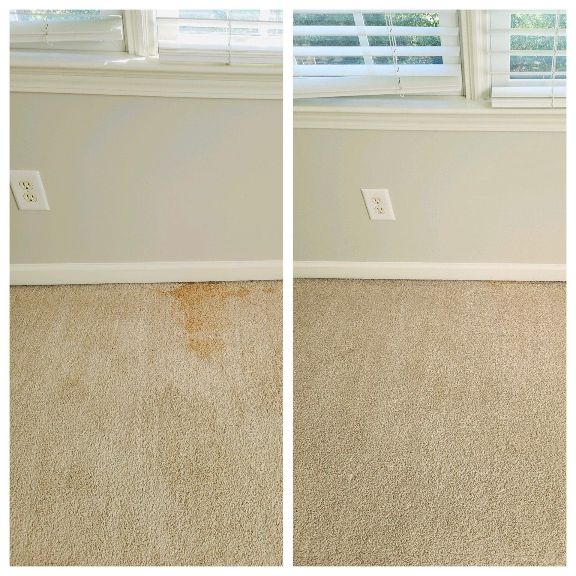 Carpet cleaning in Durham, NC, before-and-after view of a beige carpet stain cleaned near a wall and window.