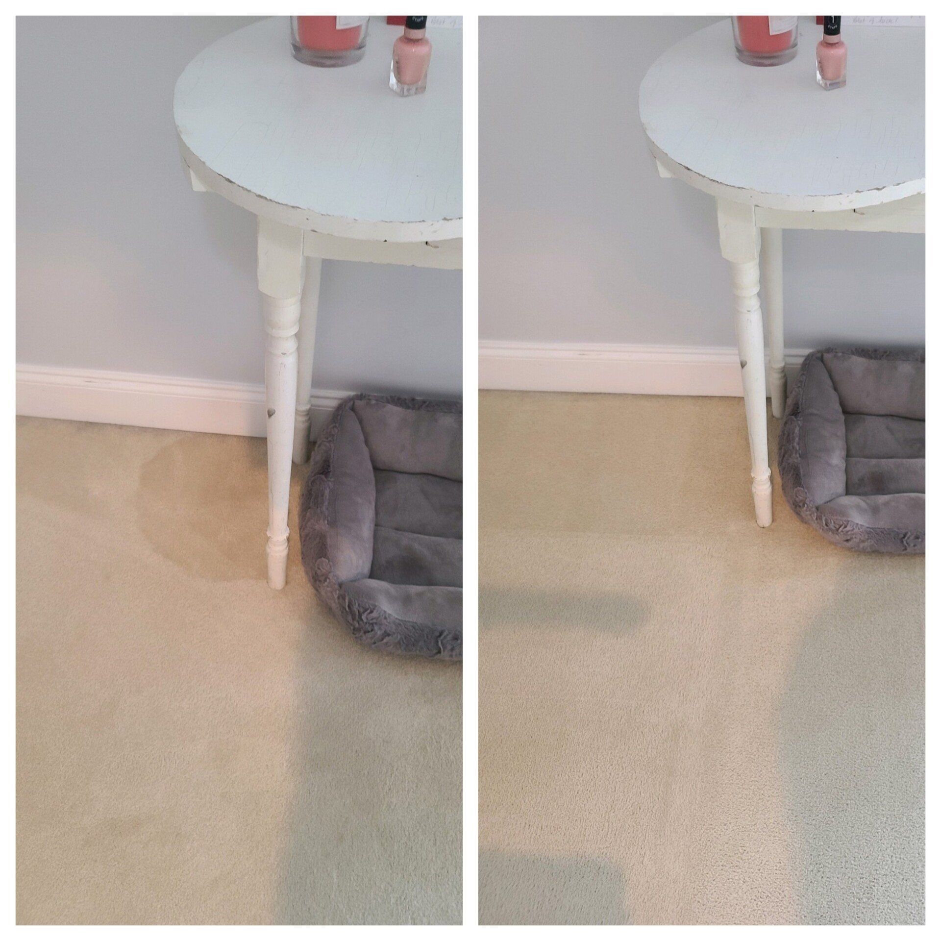 Carpet cleaning in Durham, NC, white round table beside a gray pet bed on beige carpet, shown in two side-by-side views.