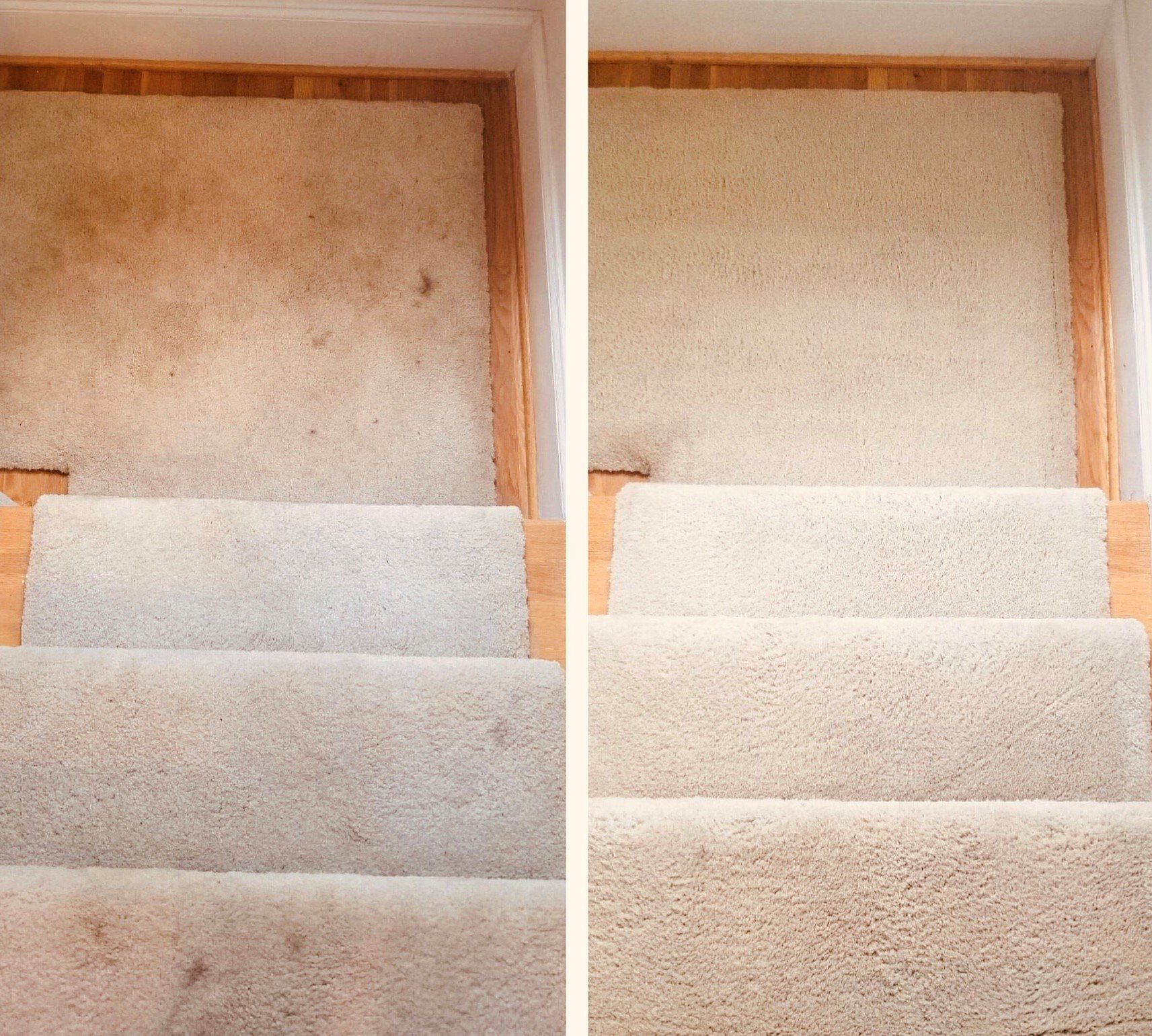 Carpet cleaning in Durham, NC, before-and-after view of a carpeted stairwell with cleaner beige steps and walls on the right