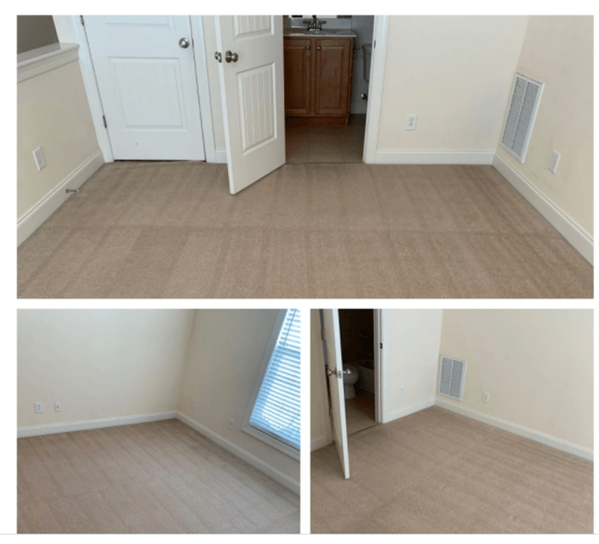 Carpet Cleaning Services You Can Trust