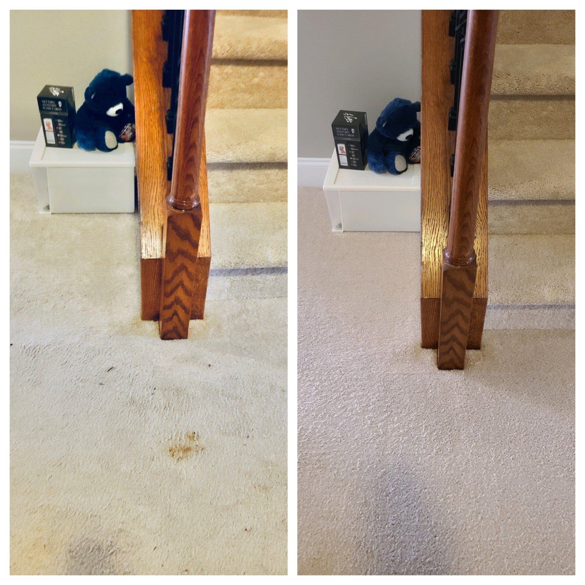Carpet cleaning in Durham, NC, side-by-side carpet photos with table leg and small brown stain.