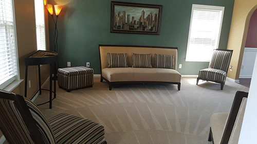 Carpet cleaning in Durham, NC, living room with striped sofas, side table, wall art, and green-beige patterned rug.