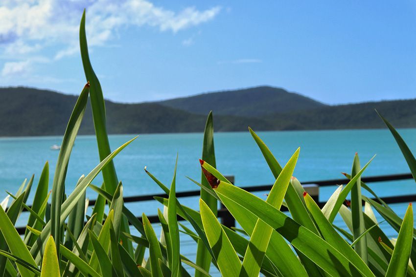 A Blurry Picture of a Body of Water with Mountain in the Background — Ace Wholesale Trophies & Engraving In Airlie Beach, QLD