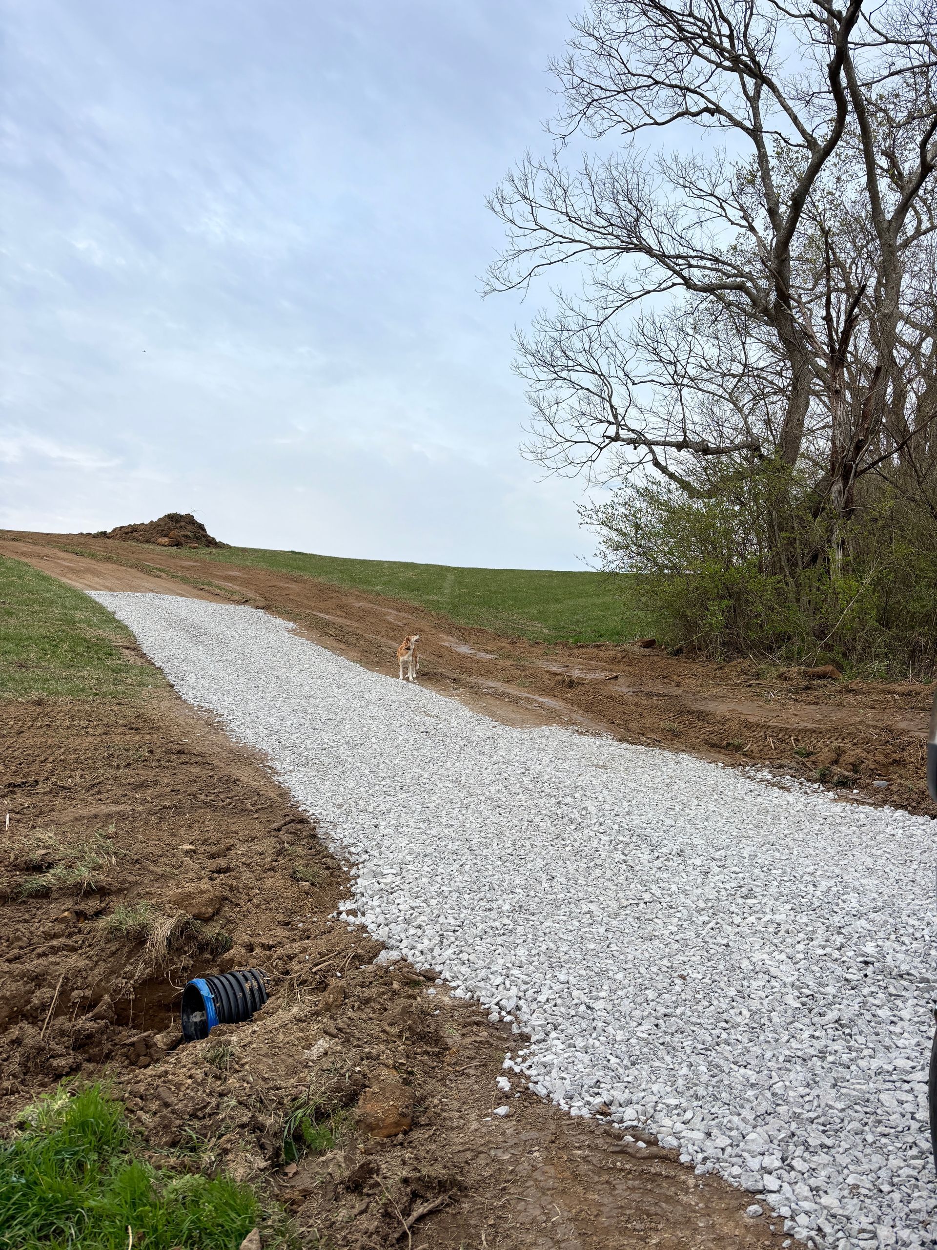 Gravel path curving up a grassy hill beside leafless trees under a cloudy sky