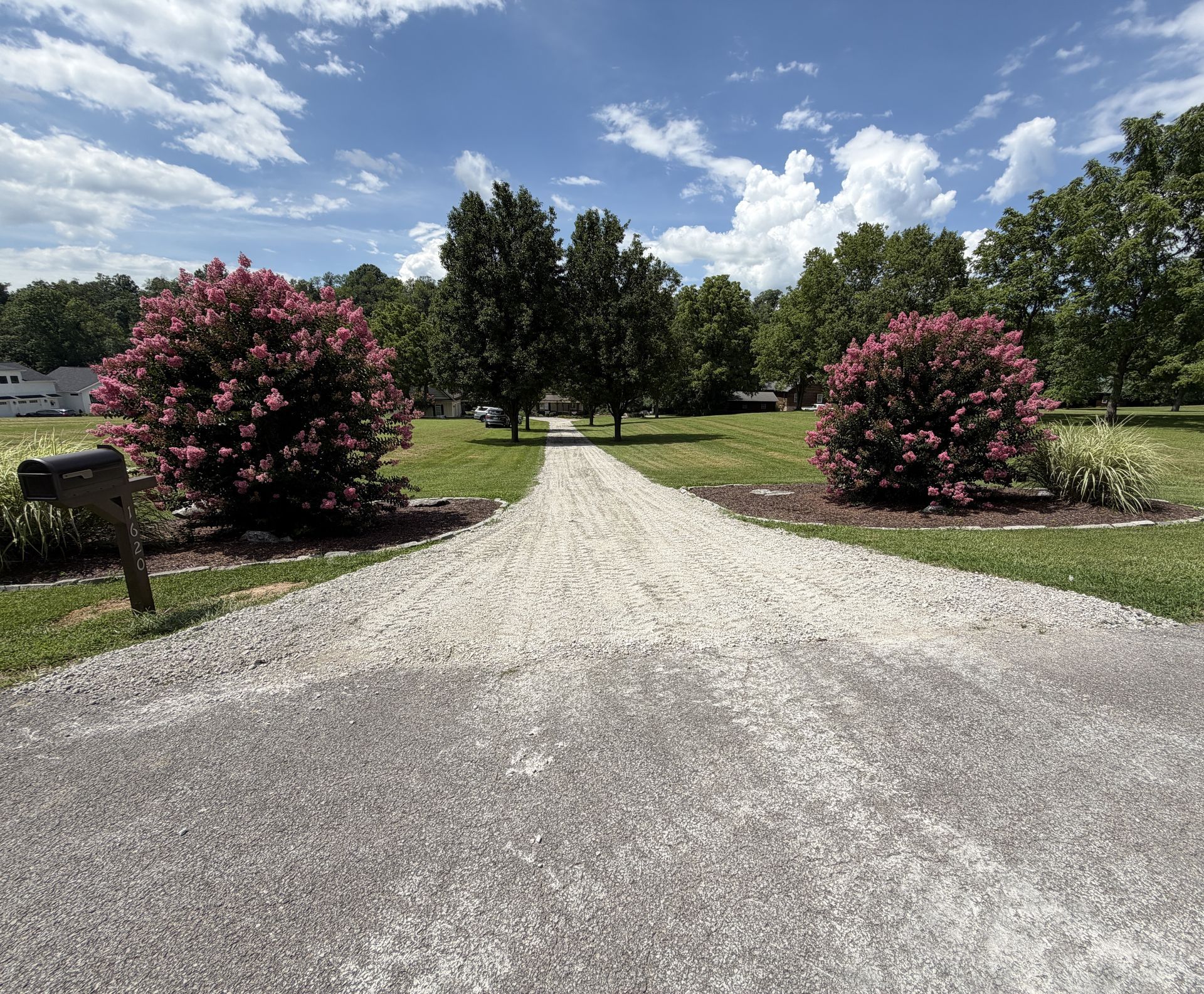 Gravel driveway leading through a green park, lined with pink flowering bushes under a bright blue sky