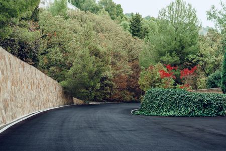 Curved asphalt driveway bordered by stone wall and lush green trees with red flowers