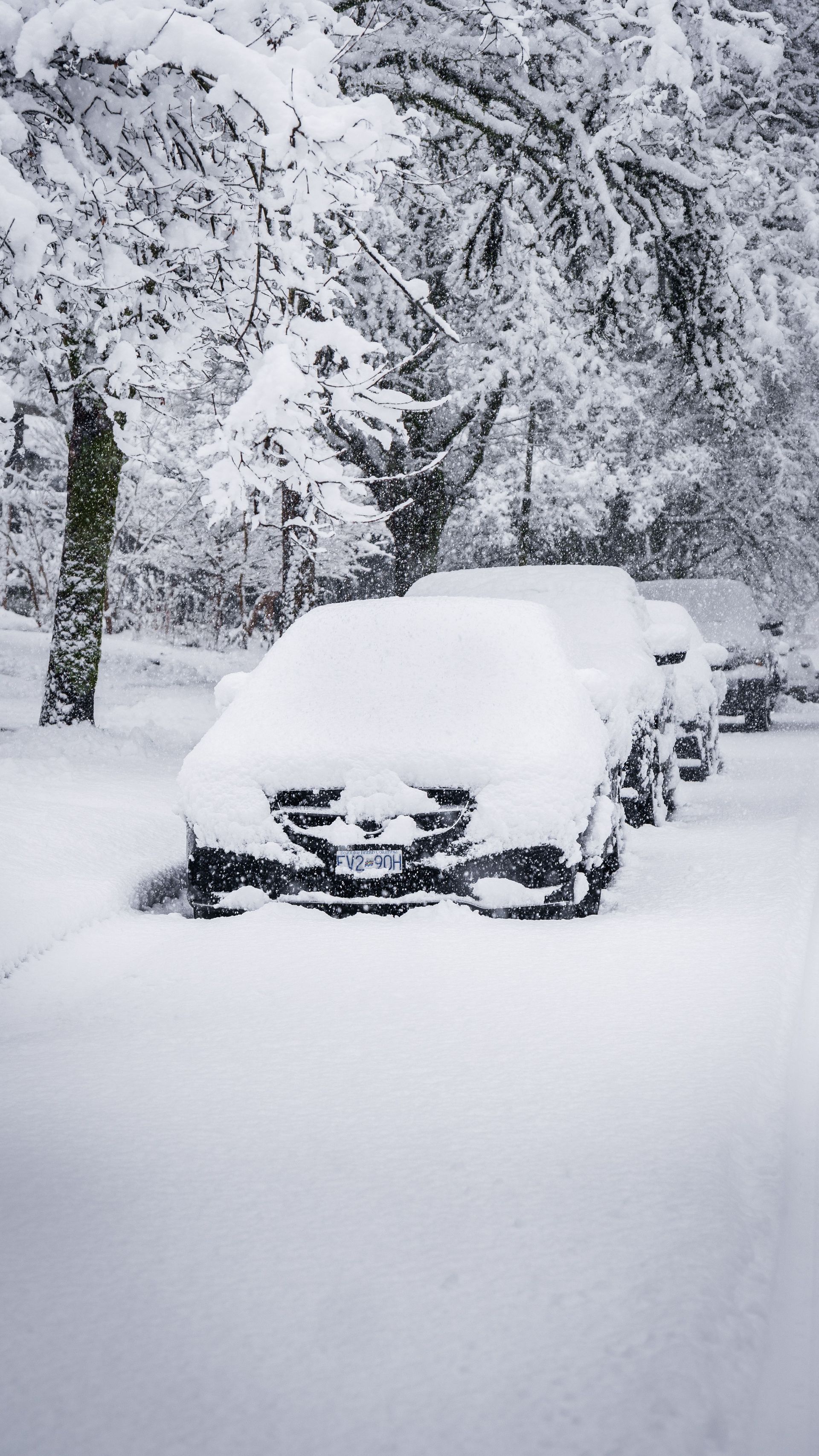 Adverse Weather Conditions - Navigating Work