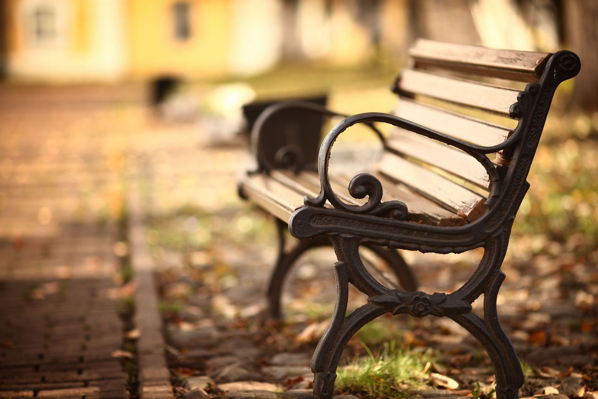 Empty park bench on a leafy path in warm autumn light
