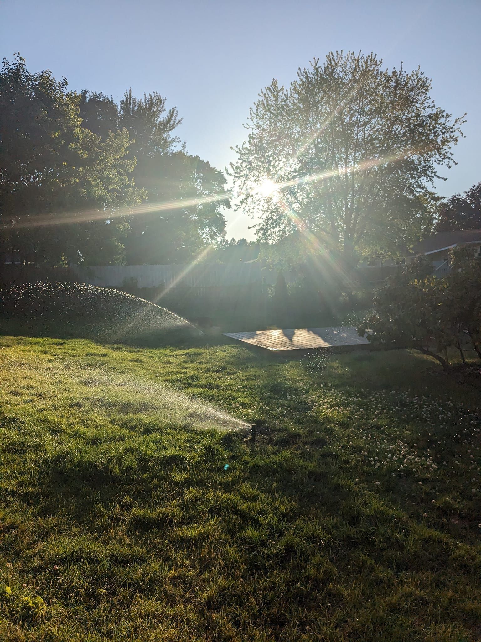 A lawn sprinkler waters a grassy backyard during a bright, sunny day with strong lens flare through the trees.