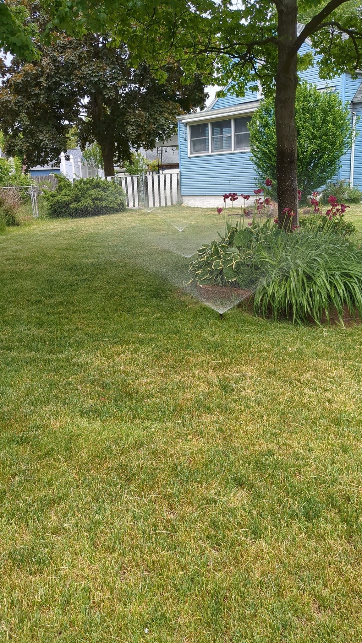A lawn sprinkler waters a patch of grass in front of a blue house with white trim.