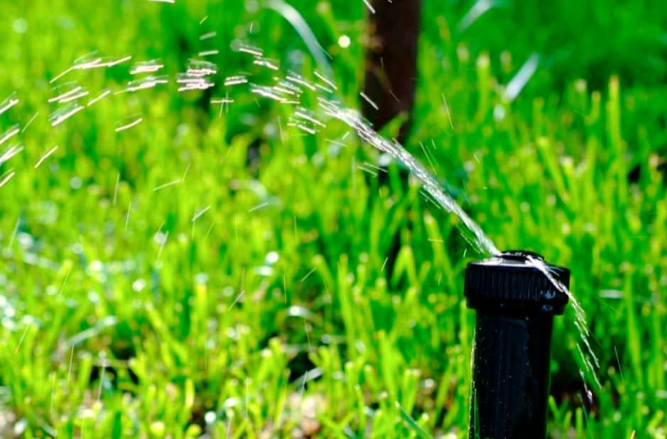 A black sprinkler head spraying a stream of water over a vibrant green lawn.