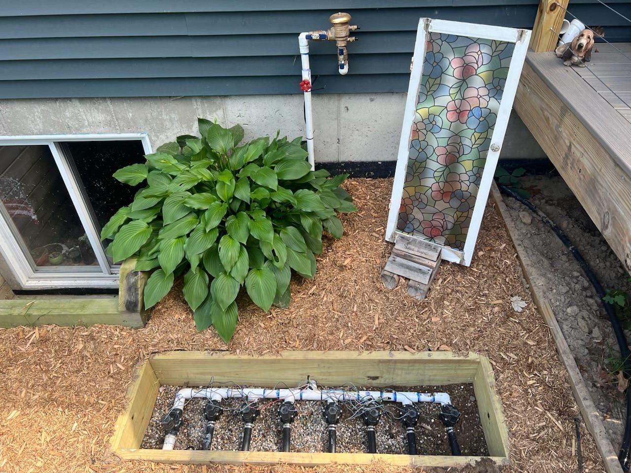 A wooden box housing an irrigation manifold sits near a house foundation, a large hosta, and a decorative floral window.