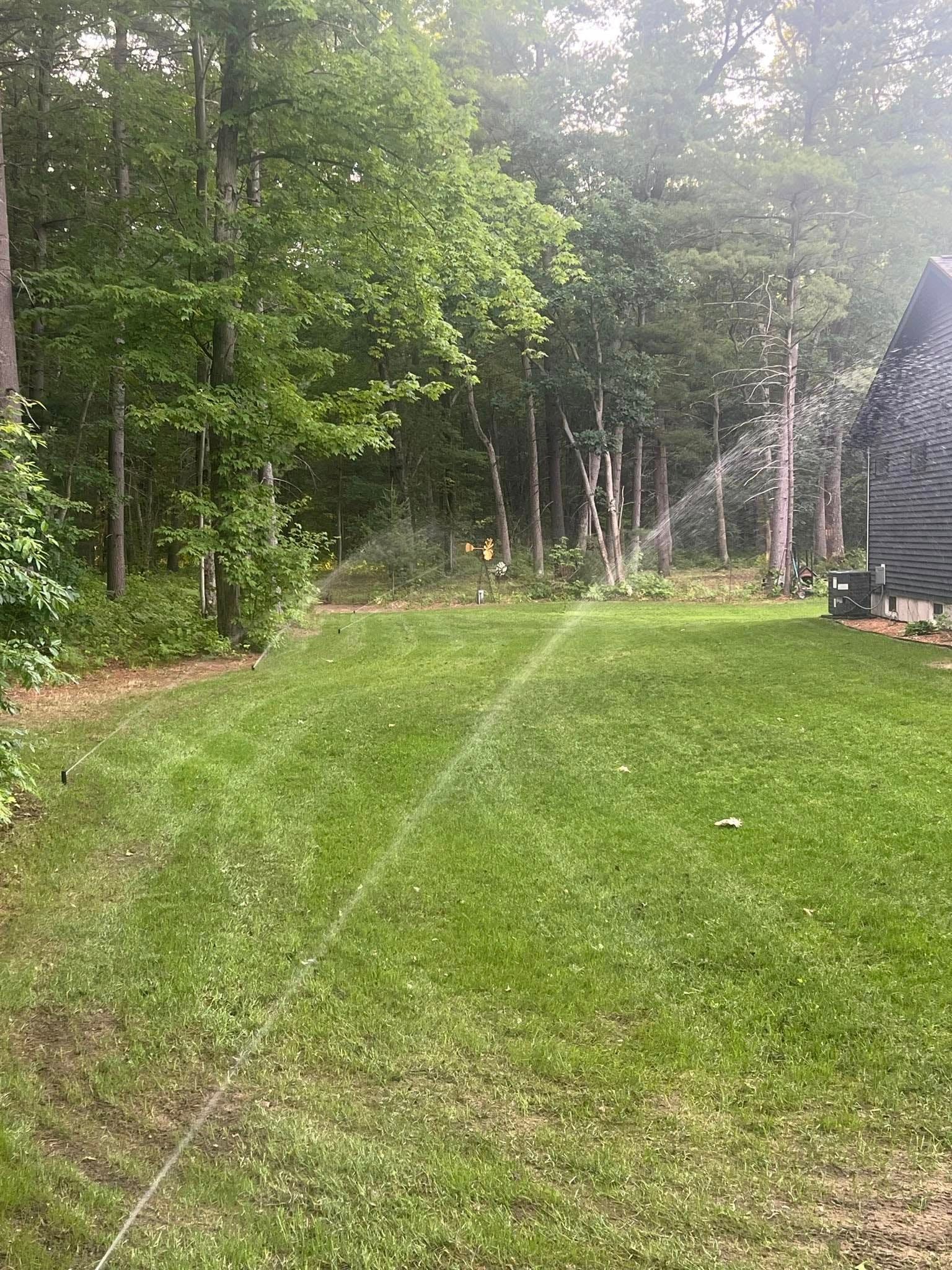 A sprinkler waters a green lawn next to a forest edge and a dark house exterior on a sunny day.