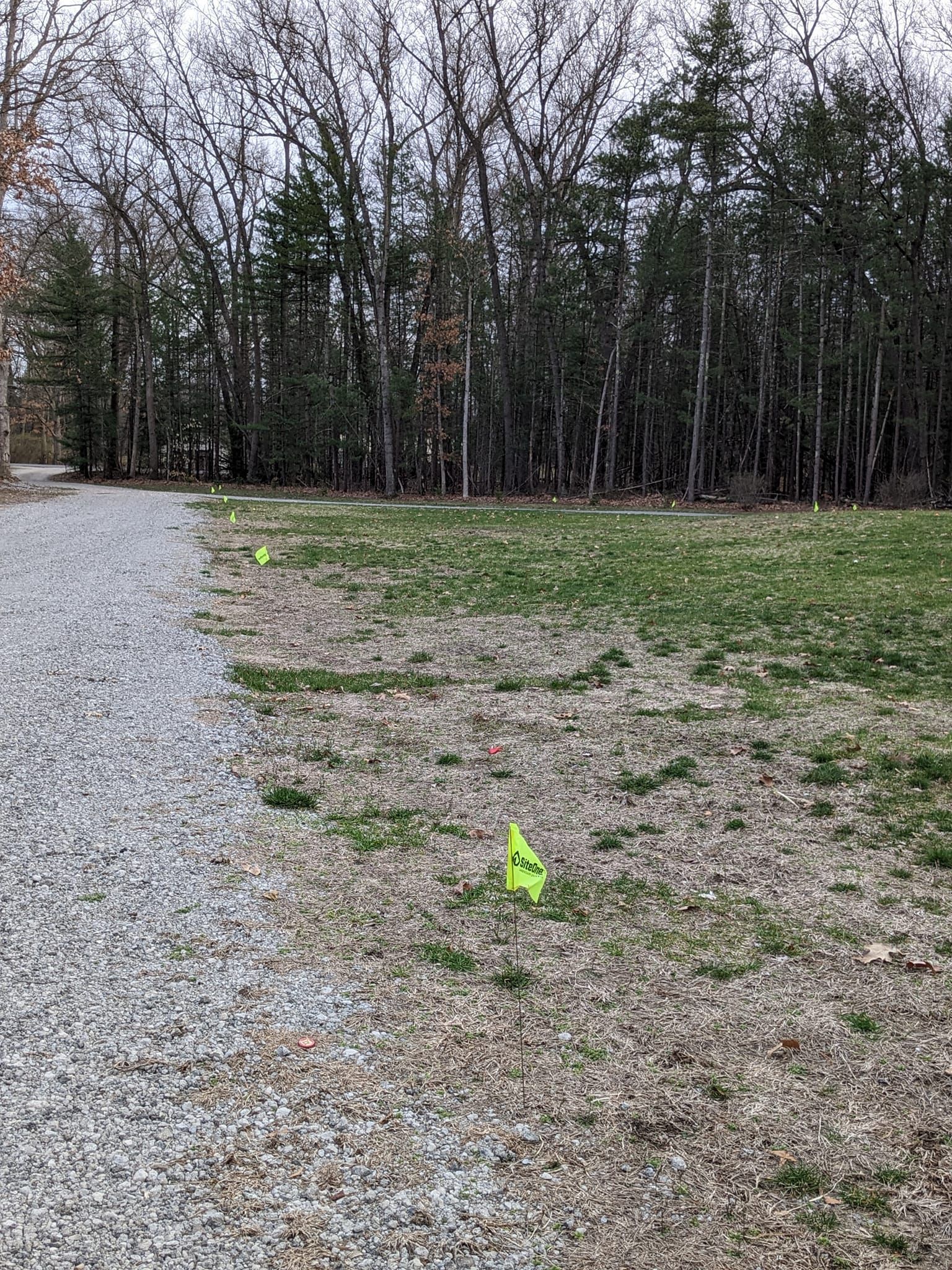 A gravel driveway borders a grassy field marked with small neon green utility flags in front of a dense treeline.