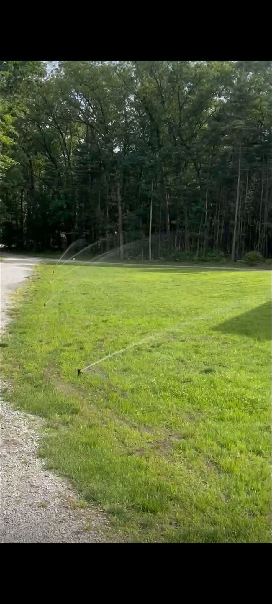 A lawn sprinkler sprays water across a grassy yard next to a gravel driveway, with a line of trees in the background.