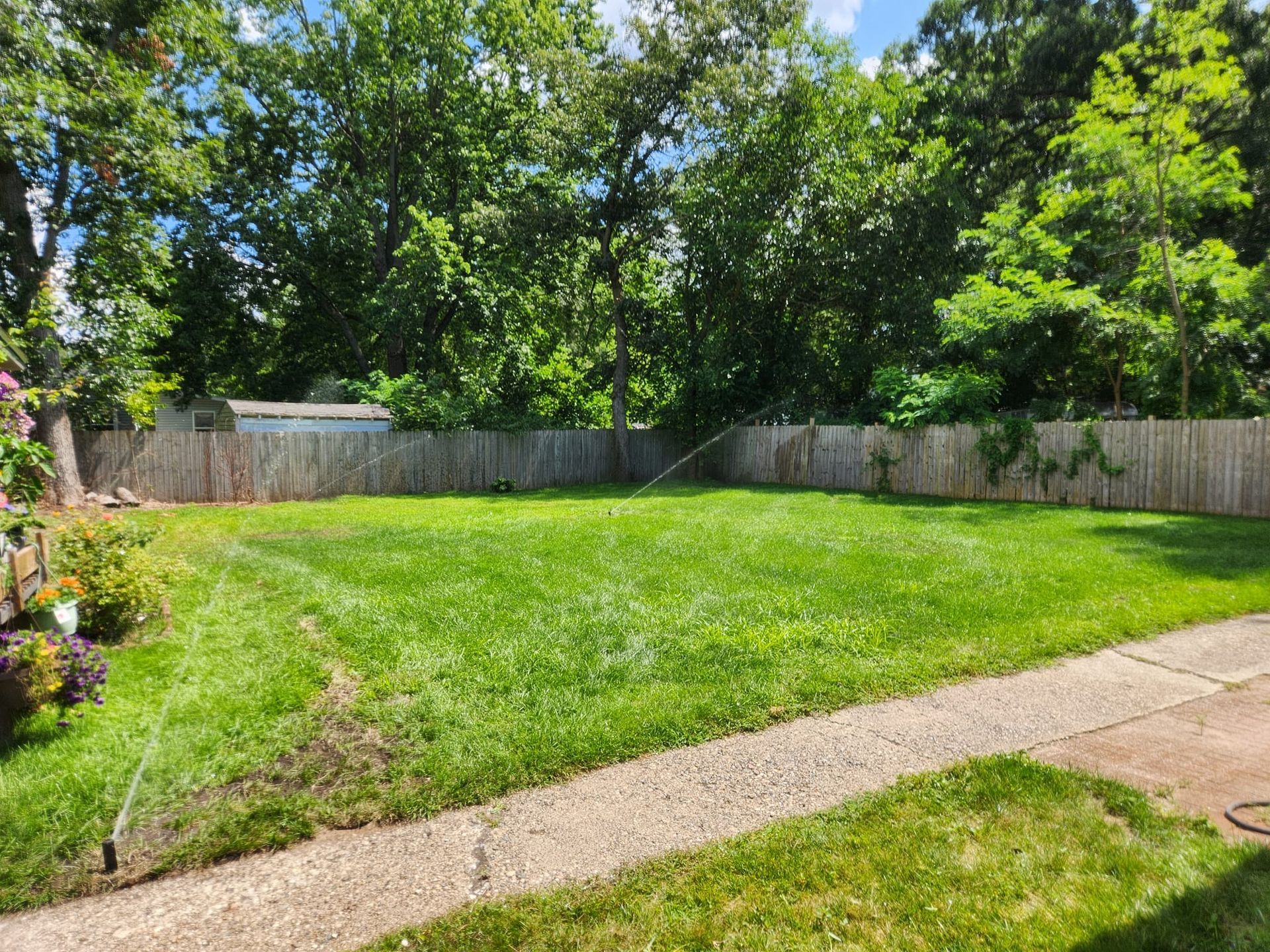A sprinkler sprays water across a green backyard lawn bordered by a fence and a concrete path under a partly cloudy sky.