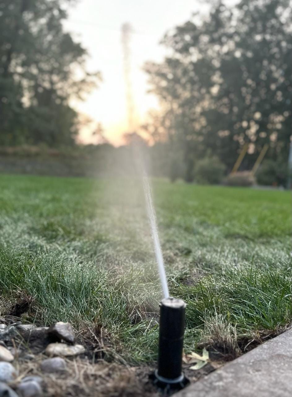 A lawn sprinkler sprays a thin stream of water over green grass at sunset.
