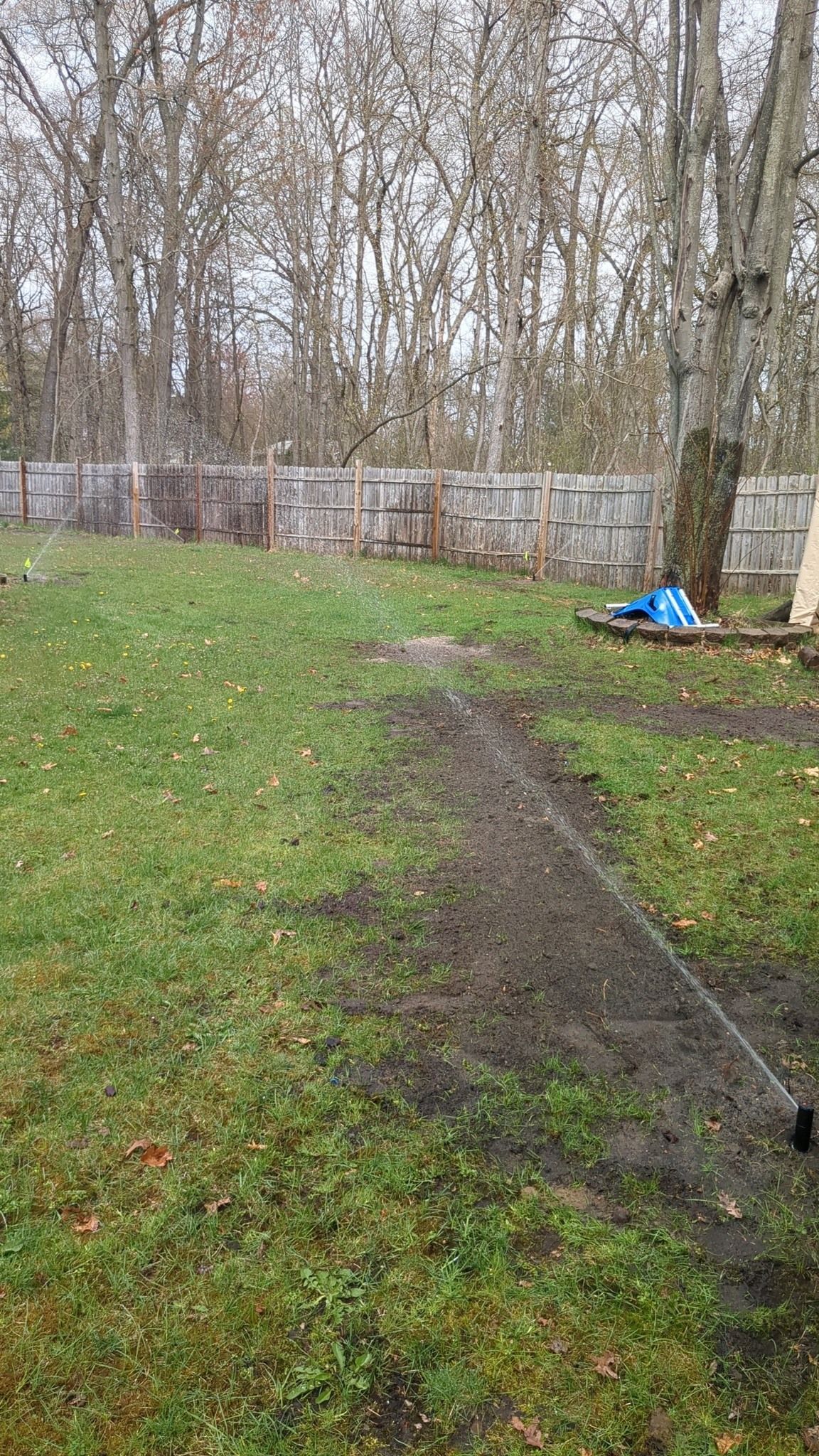 A grassy backyard with a dirt path in the foreground leading toward a wooden fence and bare trees under an overcast sky.
