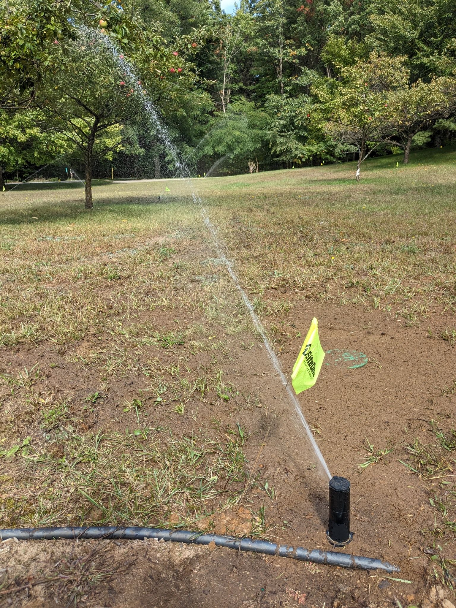 A lawn sprinkler sprays water across a patch of grass in an outdoor setting, marked by a small yellow flag.