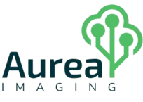 Aurea Imaging logo with dark text and a green stylized tree/brain icon