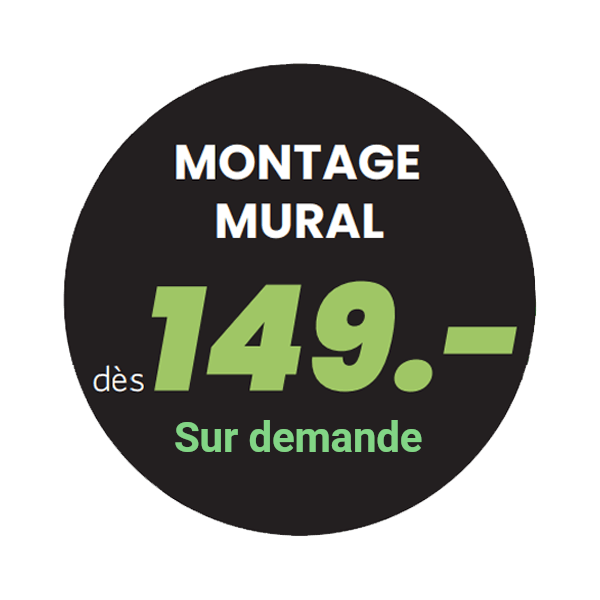 montage mural de télévision à Lausanne