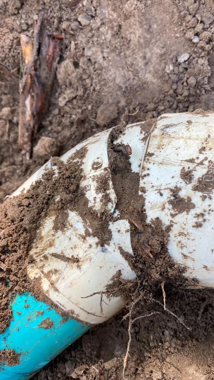A blue and white pipe is laying in the dirt.