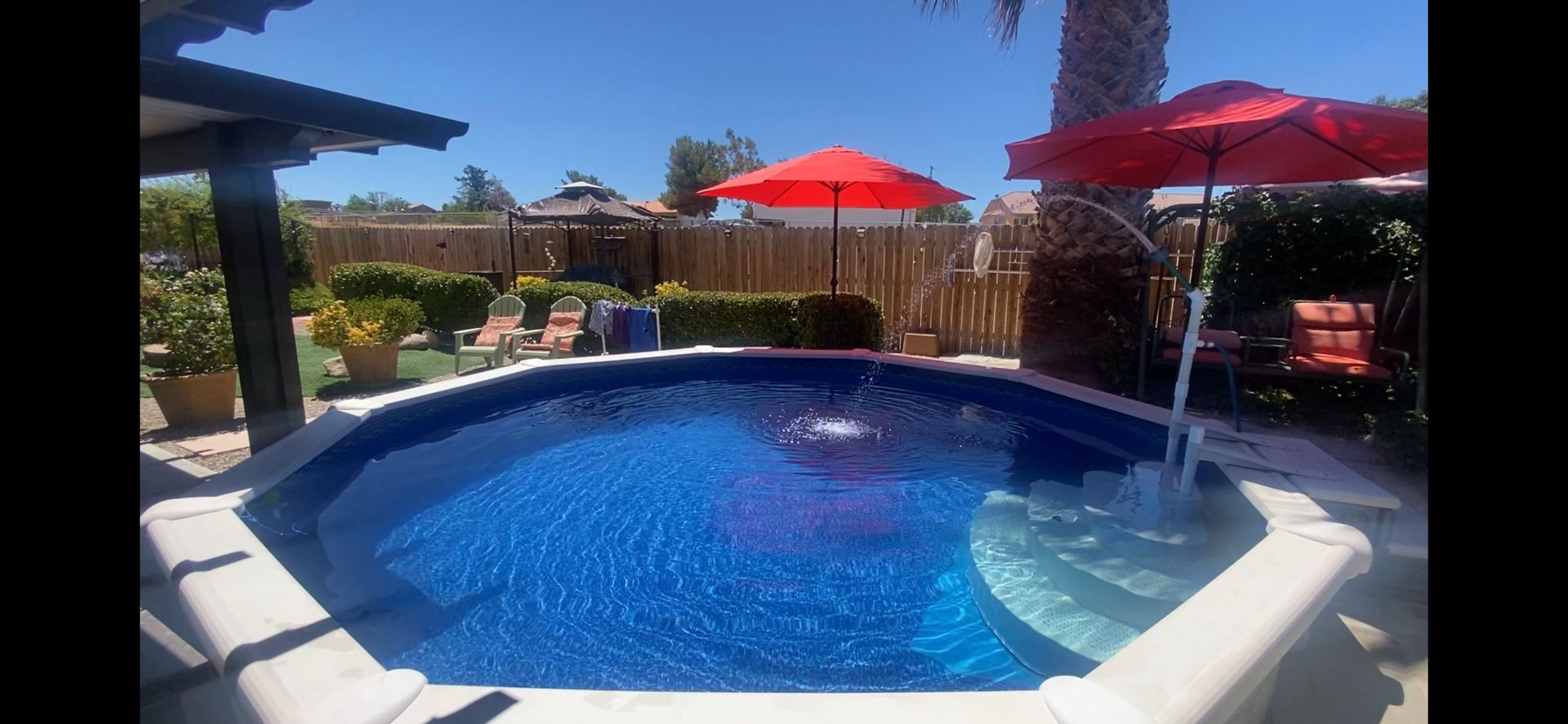 Backyard swimming pool with blue water, red umbrellas, and patio seating in the sun