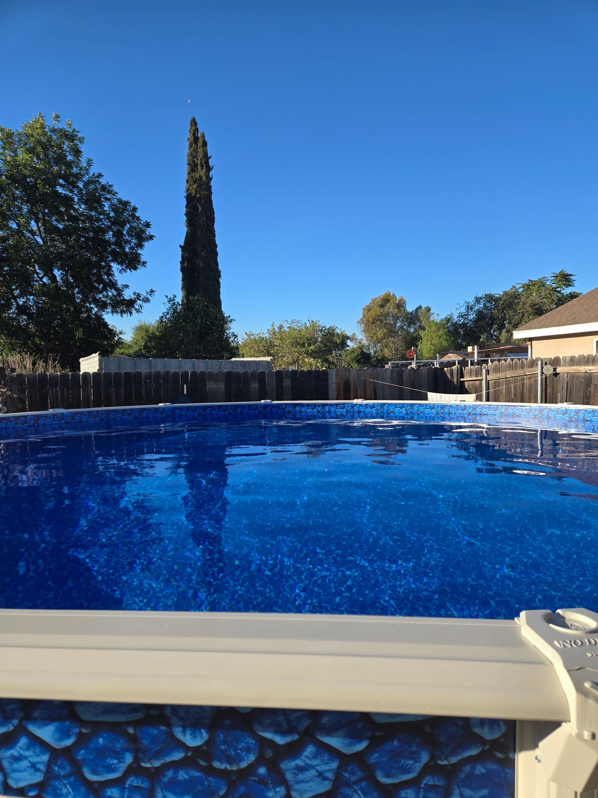 Blue swimming pool with a white coping, trees, and a clear blue sky in the background