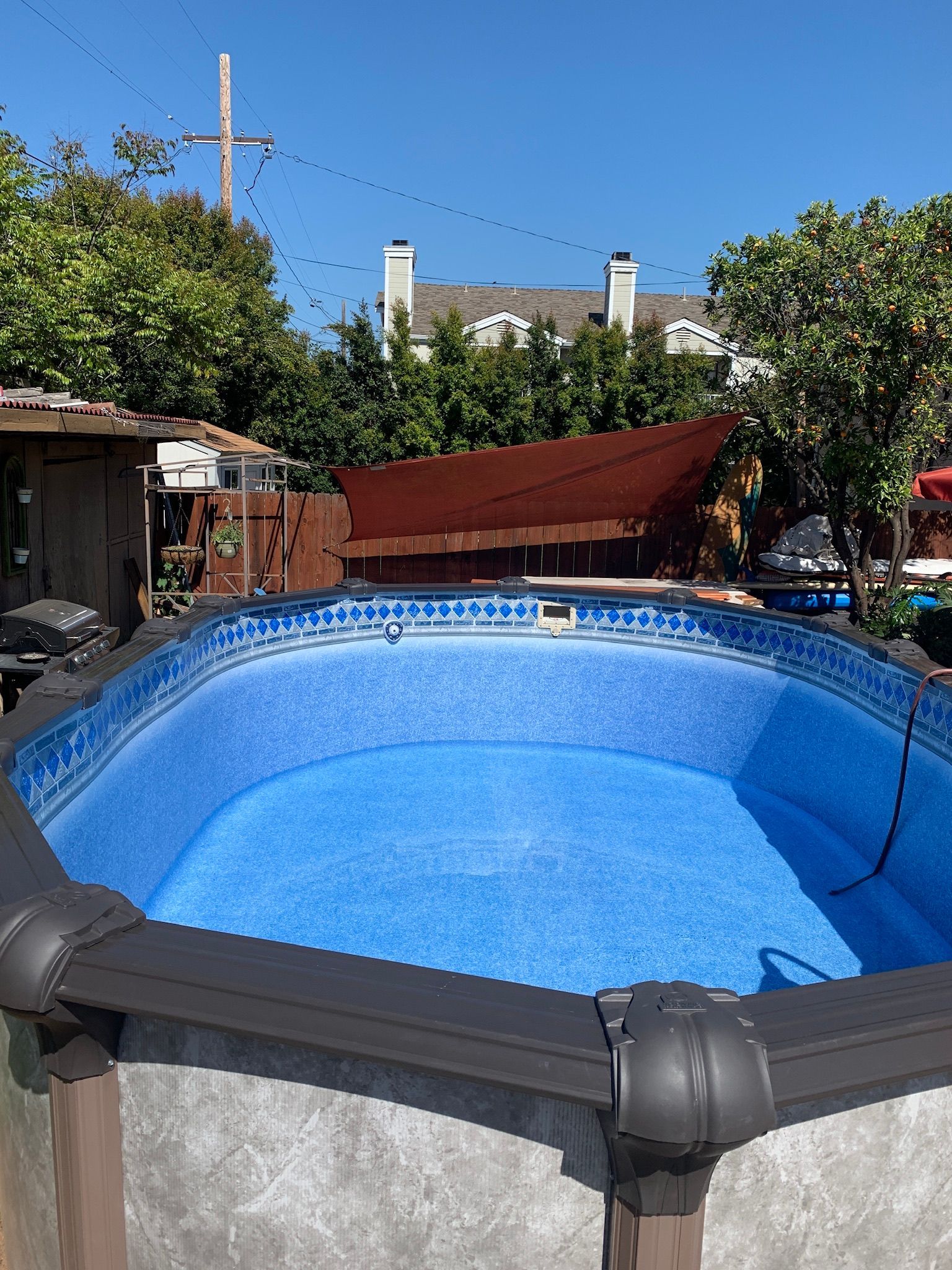 Above-ground blue pool in a sunny backyard with trees and a wooden fence