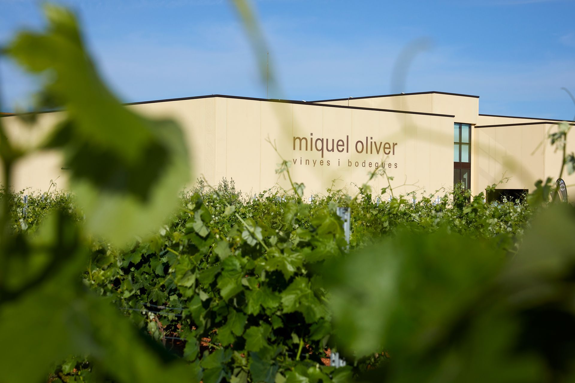 Un edificio con la palabra miguel oliver está rodeado de plantas verdes.