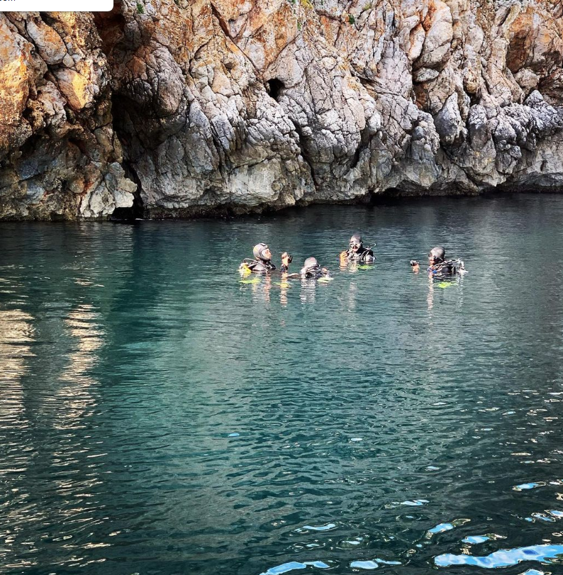 Un grupo de personas están nadando en un cuerpo de agua.