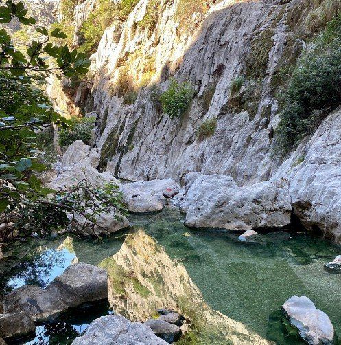 Un río rodeado de rocas y árboles en medio de un cañón.