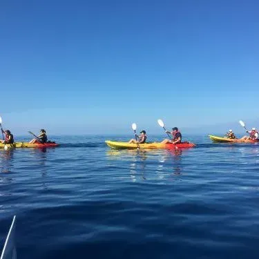 Un grupo de personas están montando kayaks en el océano.
