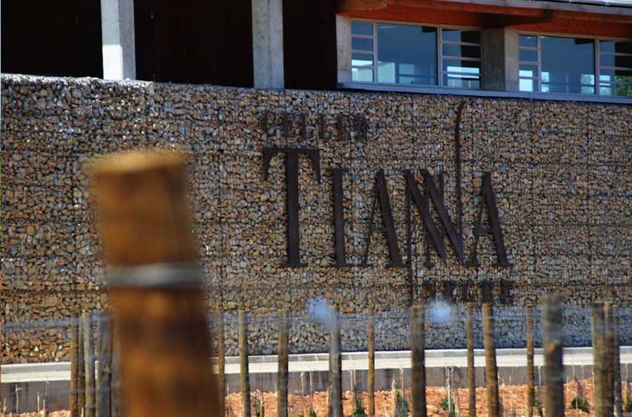 Un muro de piedra con la palabra Tiana escrita en él.
