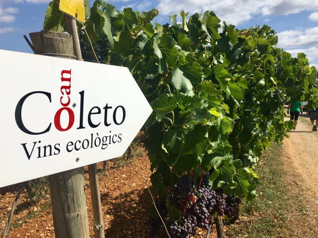 Un cartel en un viñedo dice coleto vins ecologics