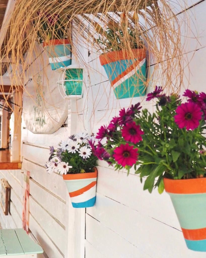 Un montón de plantas en macetas están colgadas en una pared.